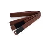 Brown bjj Belt webp