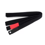 black bjj belt webp